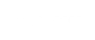 airport toyota