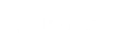 bridge toyota