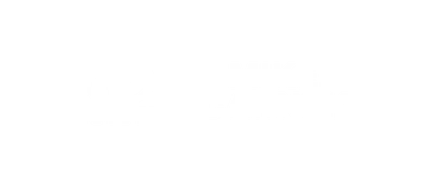 mike carney toyota